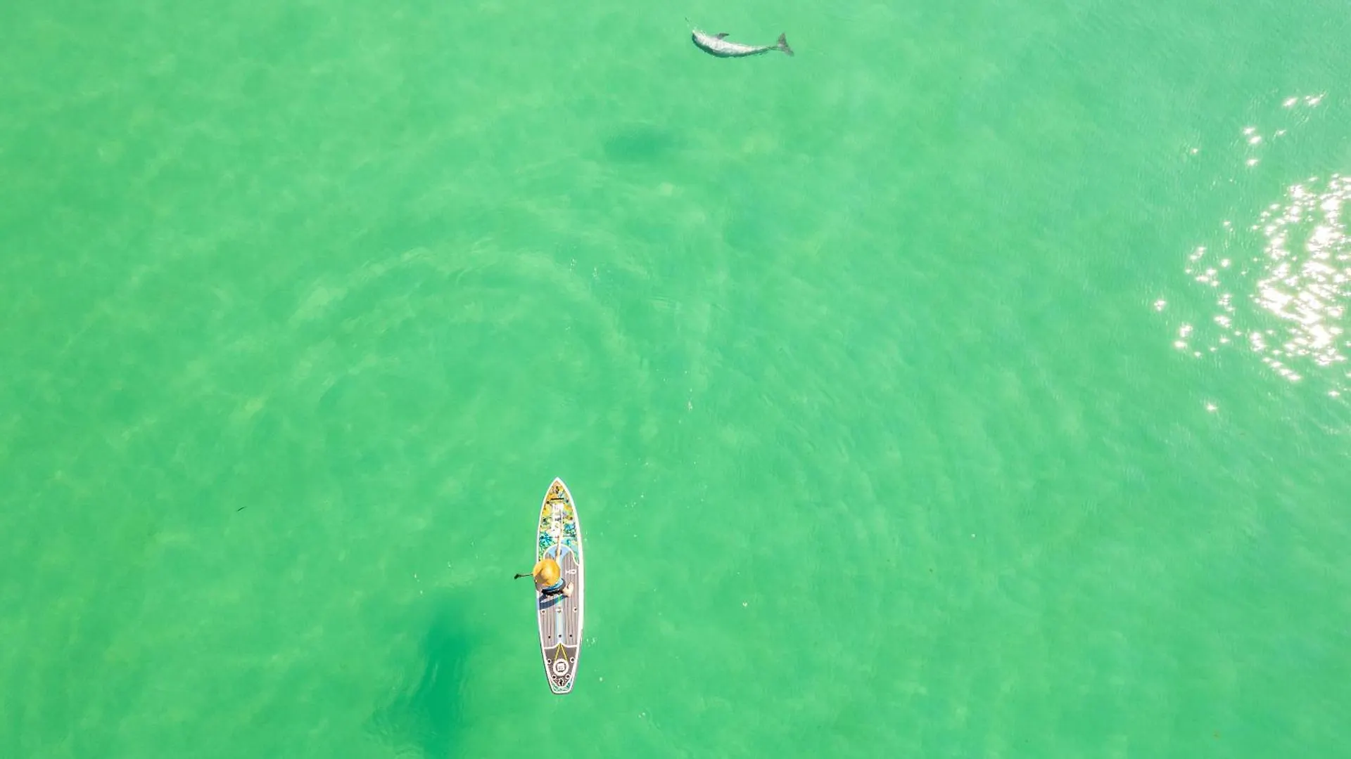 Dolphin Point 601C- By Holiday Isle Properties Destin
