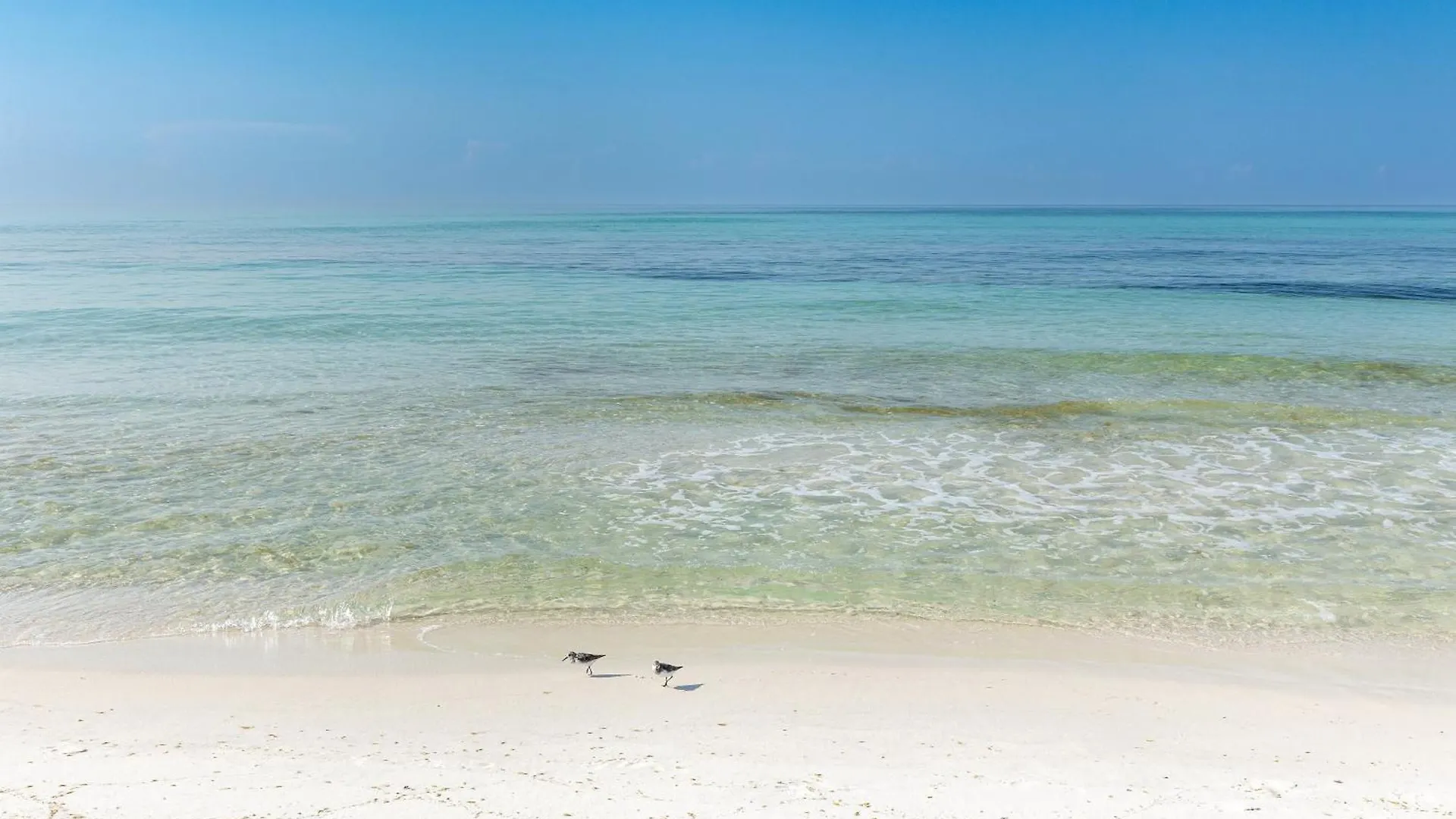 Apartment Dolphin Point 601C- By Holiday Isle Properties Destin