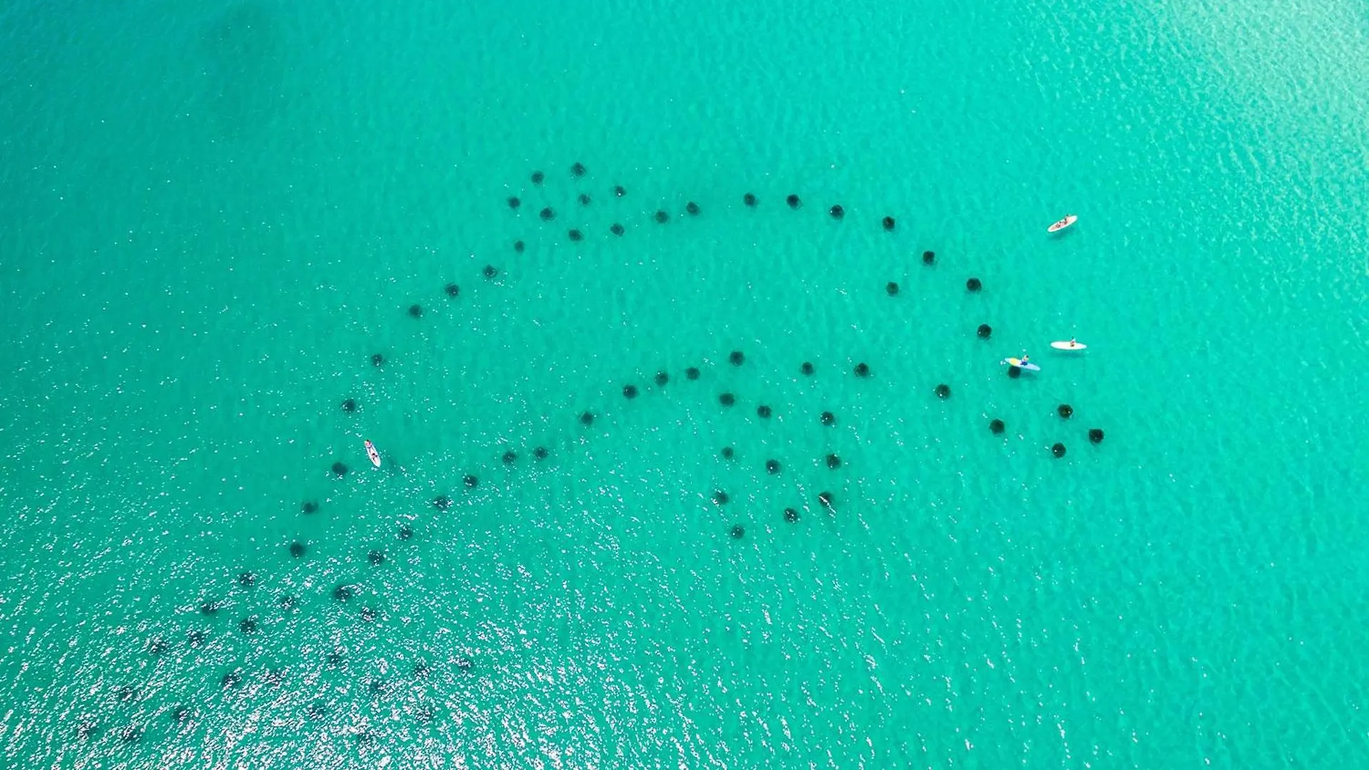 Dolphin Point 601C- By Holiday Isle Properties Destin 0*,  United States